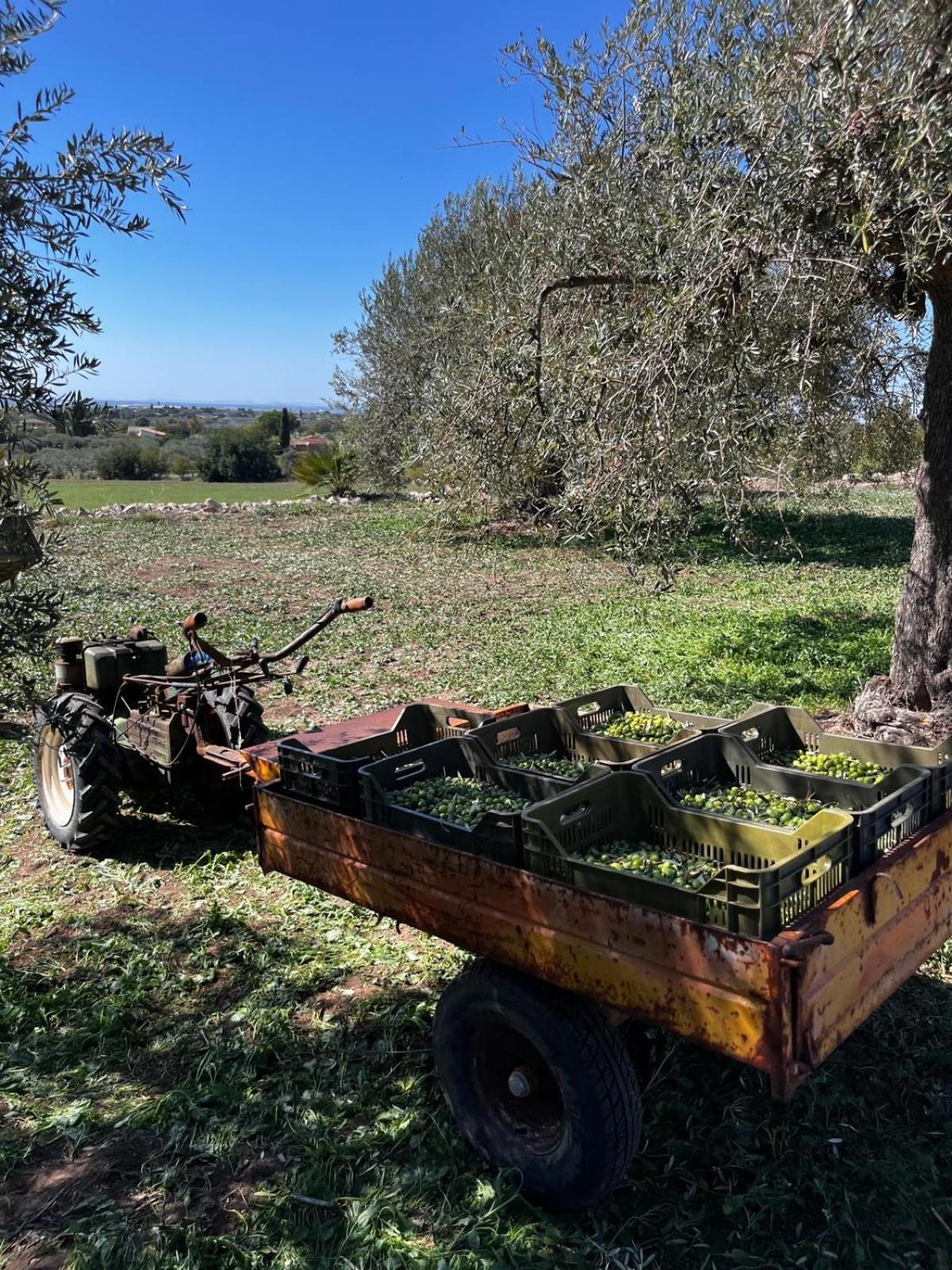 La Bella Vita Agriturismo Chiaramonte Gulfi Dış mekan fotoğraf